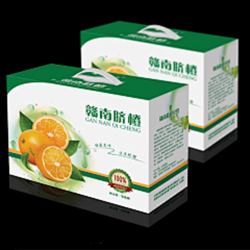 艺术设计行业的创新风向标——东湖艺龙设计引领潮流